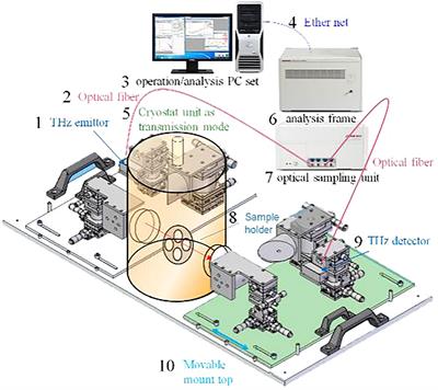 Detection of tomato water stress based on terahertz spectroscopy